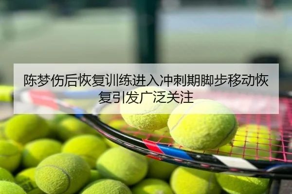陈梦伤后恢复训练进入冲刺期脚步移动恢复引发广泛关注